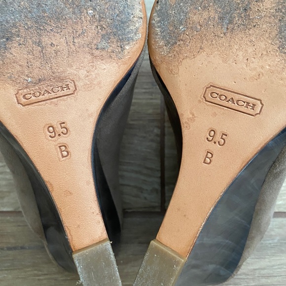 Coach suede Hollie shoes - Picture 4 of 5